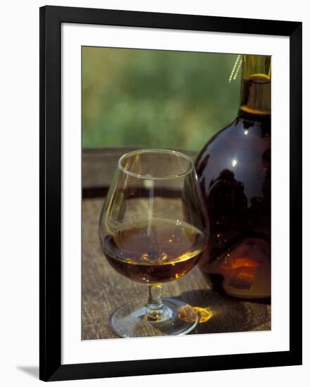 Armagnac is Made From White Grapes, Aquitania, France-Michele Molinari-Framed Photographic Print