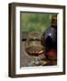 Armagnac is Made From White Grapes, Aquitania, France-Michele Molinari-Framed Photographic Print