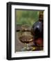 Armagnac is Made From White Grapes, Aquitania, France-Michele Molinari-Framed Photographic Print