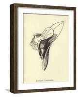 Armchairia Comfortabilis-Edward Lear-Framed Giclee Print