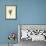 Armchairia Comfortabilis-Edward Lear-Framed Giclee Print displayed on a wall