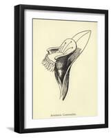 Armchairia Comfortabilis-Edward Lear-Framed Giclee Print