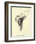 Armchairia Comfortabilis-Edward Lear-Framed Giclee Print