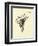 Armchairia Comfortabilis-Edward Lear-Framed Giclee Print