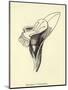 Armchairia Comfortabilis-Edward Lear-Mounted Giclee Print