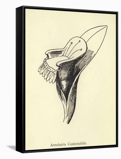 Armchairia Comfortabilis-Edward Lear-Framed Stretched Canvas