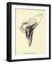 Armchairia Comfortabilis-Edward Lear-Framed Premium Giclee Print