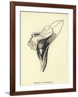 Armchairia Comfortabilis-Edward Lear-Framed Giclee Print