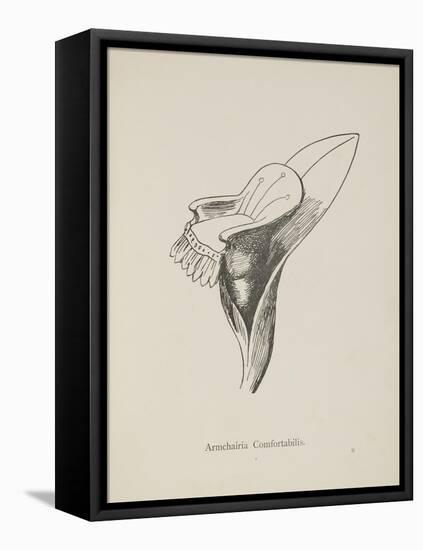 Armchairia Confortablis. Illustration From Nonsense Botany by Edward Lear, Published in 1889.-Edward Lear-Framed Stretched Canvas