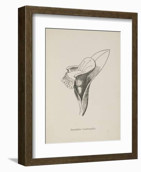 Armchairia Confortablis. Illustration From Nonsense Botany by Edward Lear, Published in 1889.-Edward Lear-Framed Giclee Print