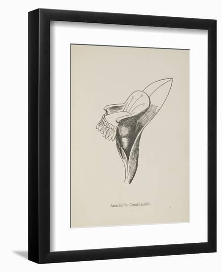 Armchairia Confortablis. Illustration From Nonsense Botany by Edward Lear, Published in 1889.-Edward Lear-Framed Giclee Print