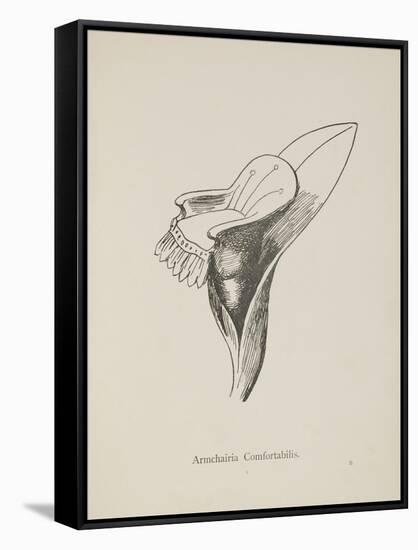 Armchairia Confortablis. Illustration From Nonsense Botany by Edward Lear, Published in 1889.-Edward Lear-Framed Stretched Canvas