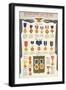 Armed Forces Decorations and Awards-null-Framed Art Print