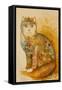 Armenia Cat-Oxana Zaika-Framed Stretched Canvas