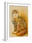 Armenia Cat-Oxana Zaika-Framed Giclee Print