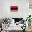 Armenia Flag Design with Wood Patterning - Flags of the World Series-Philippe Hugonnard-Art Print displayed on a wall