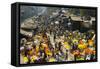 Armenia Ghat Flower Market, Kolkata (Calcutta), West Bengal, India, Asia-Tony Waltham-Framed Stretched Canvas