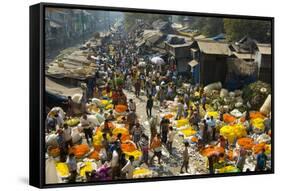 Armenia Ghat Flower Market, Kolkata (Calcutta), West Bengal, India, Asia-Tony Waltham-Framed Stretched Canvas