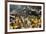 Armenia Ghat Flower Market, Kolkata (Calcutta), West Bengal, India, Asia-Tony Waltham-Framed Photographic Print