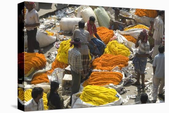 Armenia Ghat Flower Market, Kolkata (Calcutta), West Bengal, India, Asia-Tony Waltham-Stretched Canvas