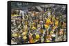 Armenia Ghat Flower Market, Kolkata (Calcutta), West Bengal, India, Asia-Tony Waltham-Framed Stretched Canvas