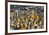 Armenia Ghat Flower Market, Kolkata (Calcutta), West Bengal, India, Asia-Tony Waltham-Framed Photographic Print