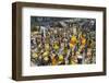 Armenia Ghat Flower Market, Kolkata (Calcutta), West Bengal, India, Asia-Tony Waltham-Framed Photographic Print