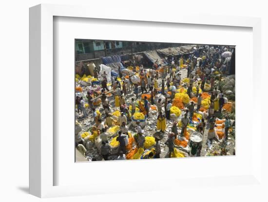 Armenia Ghat Flower Market, Kolkata (Calcutta), West Bengal, India, Asia-Tony Waltham-Framed Photographic Print