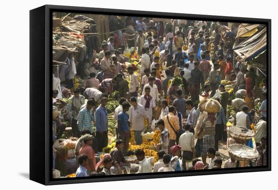 Armenia Ghat Market, Kolkata (Calcutta), West Bengal, India, Asia-Tony Waltham-Framed Stretched Canvas