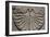 Armenia, Gladzor, Sundial from St Stepanos Church, 1273-1270-null-Framed Giclee Print