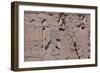 Armenia, Khor Virap Monastery, Detail of Bas-Relief-null-Framed Giclee Print