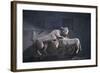 Armenia, Kotayk, Geghard, Animal Sculpture at Geghard Monastery-null-Framed Giclee Print