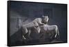 Armenia, Kotayk, Geghard, Animal Sculpture at Geghard Monastery-null-Framed Stretched Canvas