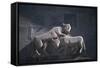 Armenia, Kotayk, Geghard, Animal Sculpture at Geghard Monastery-null-Framed Stretched Canvas