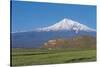 Armenia - Mount Ararat and Monastery at Khor Virap-null-Stretched Canvas