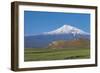 Armenia - Mount Ararat and Monastery at Khor Virap-null-Framed Giclee Print