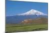 Armenia - Mount Ararat and Monastery at Khor Virap-null-Mounted Giclee Print