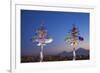 Armenia, Yerevan, View of Yerevan and Mount Ararat from Cascade-Jane Sweeney-Framed Photographic Print