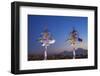 Armenia, Yerevan, View of Yerevan and Mount Ararat from Cascade-Jane Sweeney-Framed Photographic Print