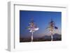 Armenia, Yerevan, View of Yerevan and Mount Ararat from Cascade-Jane Sweeney-Framed Photographic Print