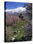 Armenian Church of the Holy Cross, on Akdamar Island, Beside Lake Van, Anatolia, Turkey-Woolfitt Adam-Stretched Canvas