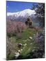 Armenian Church of the Holy Cross, on Akdamar Island, Beside Lake Van, Anatolia, Turkey-Woolfitt Adam-Mounted Photographic Print