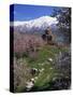 Armenian Church of the Holy Cross, on Akdamar Island, Beside Lake Van, Anatolia, Turkey-Woolfitt Adam-Stretched Canvas