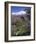 Armenian Church of the Holy Cross, on Akdamar Island, Beside Lake Van, Anatolia, Turkey-Woolfitt Adam-Framed Photographic Print