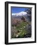 Armenian Church of the Holy Cross, on Akdamar Island, Beside Lake Van, Anatolia, Turkey-Woolfitt Adam-Framed Photographic Print