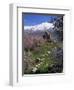 Armenian Church of the Holy Cross, on Akdamar Island, Beside Lake Van, Anatolia, Turkey-Woolfitt Adam-Framed Photographic Print