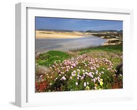 Armeria Pungens Blossom. Costa Vicentina Nature Park, Portugal, Wild Atlantic Coast in Europe-Mauricio Abreu-Framed Photographic Print