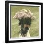 Armful of Roses-Betsy Cameron-Framed Art Print