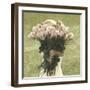 Armful of Roses-Betsy Cameron-Framed Art Print