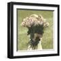 Armful of Roses-Betsy Cameron-Framed Art Print